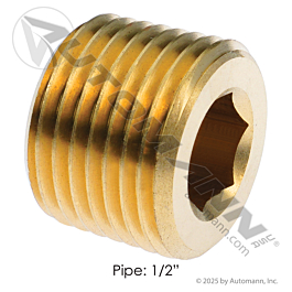 177.9118D - Countersunk Hex Head Plug 1/2NPT