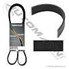 Dayco Gold Label Poly-V Serpentine Belt