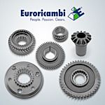 Transmission & Rear Differential Gears